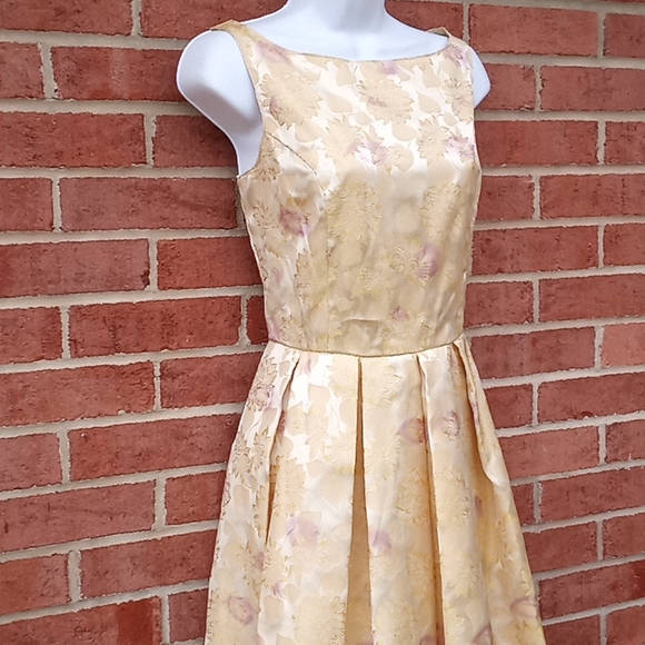 🔹️BB Dakota - Picture 8 of 8